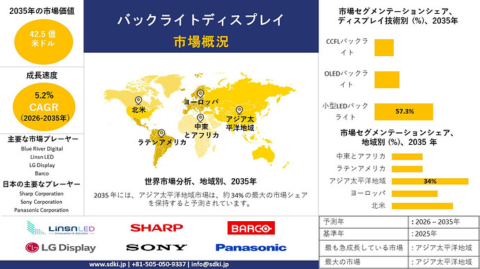 backlit-displays-survey-report_1763536524