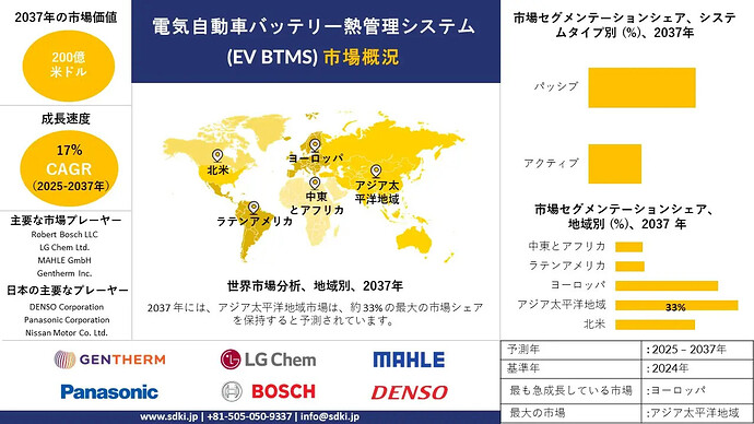 electric-vehicle-thermal-management-system-market-survey-report_1779775216