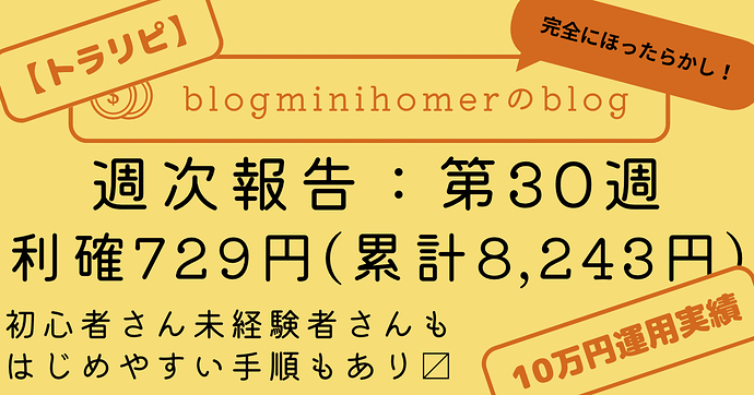 トラリピ10万運用：週次報告_20240722