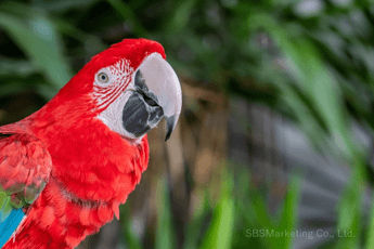894_ラポール形成に効果的なのは「オウム返し」！？『バックトラッキング』②