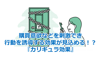 44_購買意欲などを刺激でき、行動を誘導する効果が見込める！？『カリギュラ効果』