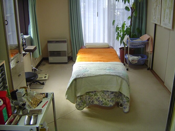 117_おのでら鍼灸経絡治療院