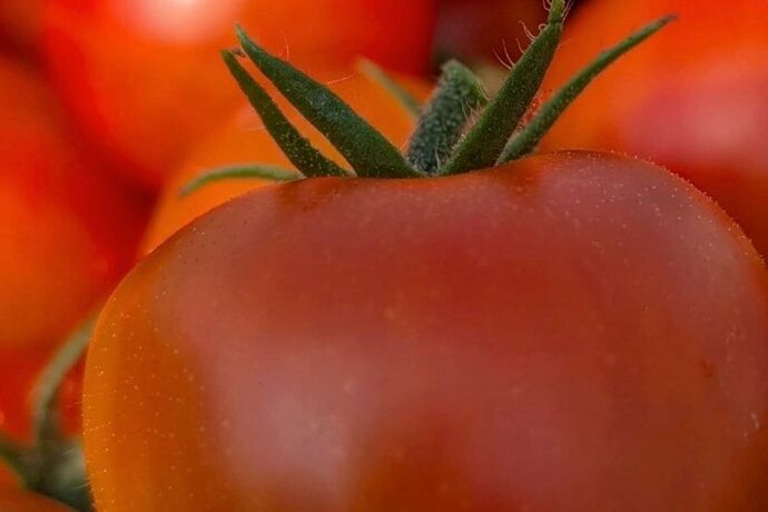 あ (72)のコピー2