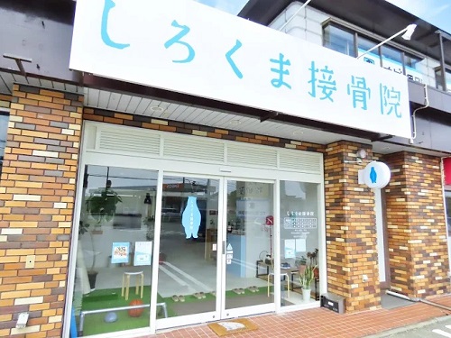 72.しろくま接骨院