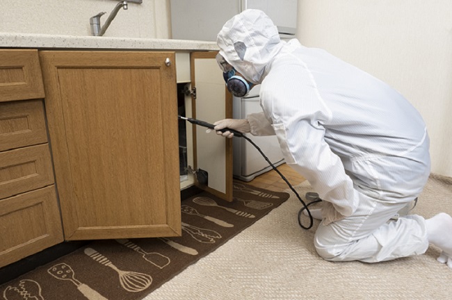 78.クリーンキング1978