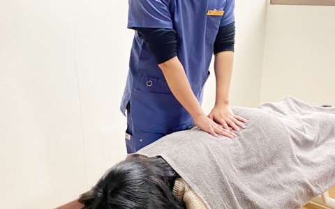 57.もみのねこ整体 フォンタナ店