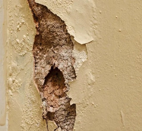 スクリーンショット 2025-11-11 8.35.03