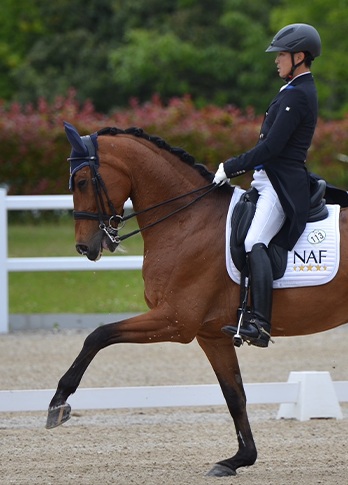 102_駒立乗馬クラブ